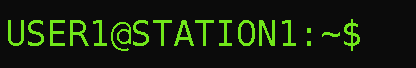 File:Animated GNU Bash Unix Shell Prompt.gif