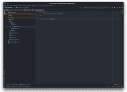 IntelliJ IDEA