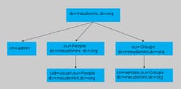 Lightweight Directory Access Protocol