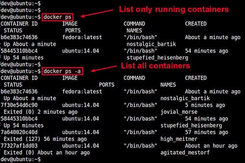 List Docker Containers
