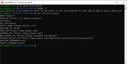 Windows Subsystem for Linux